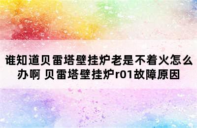 谁知道贝雷塔壁挂炉老是不着火怎么办啊 贝雷塔壁挂炉r01故障原因